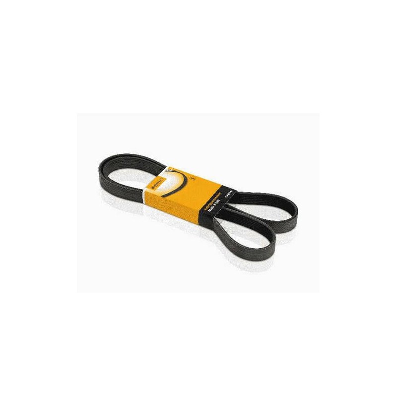 CORREIA 5PK0905 - CONTINENTAL - 5PK905
