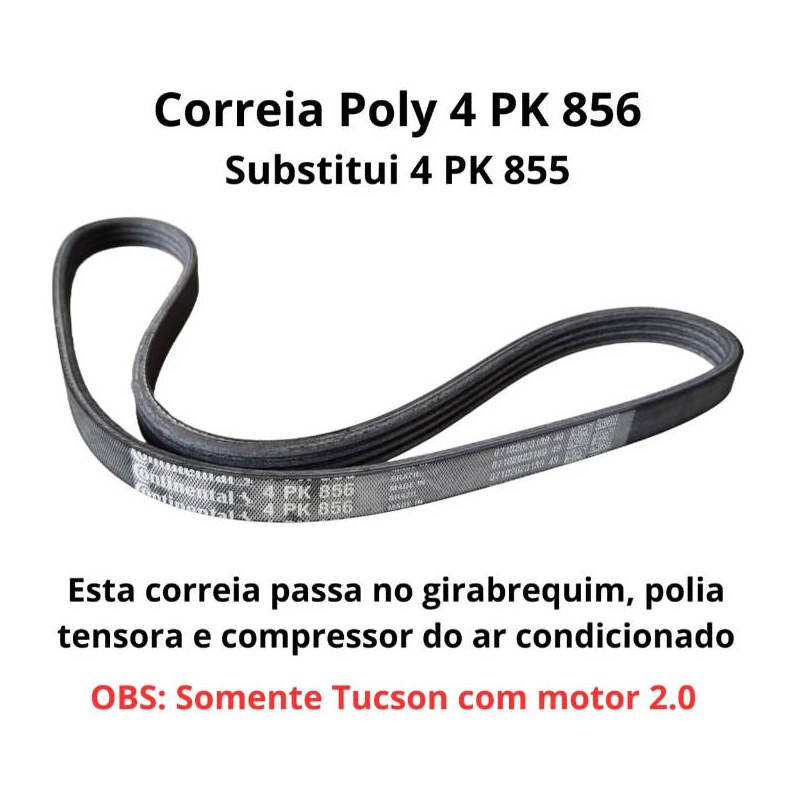 CORREIA 4PK0856 - CONTITECH - 4PK856