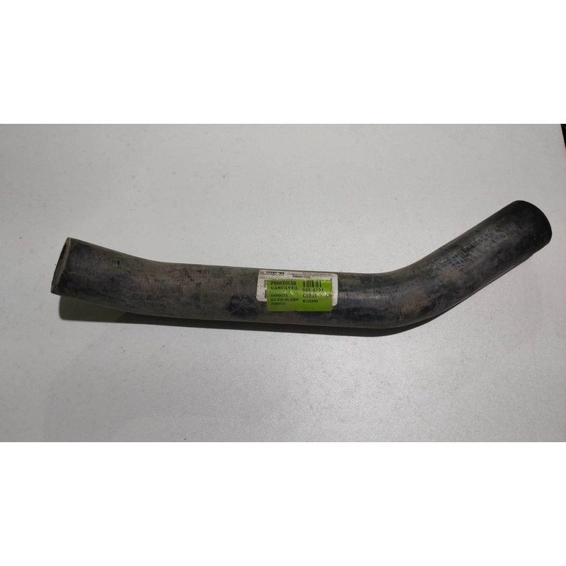 MANGOTE SUPERIOR - JAMAICA - 8105MM