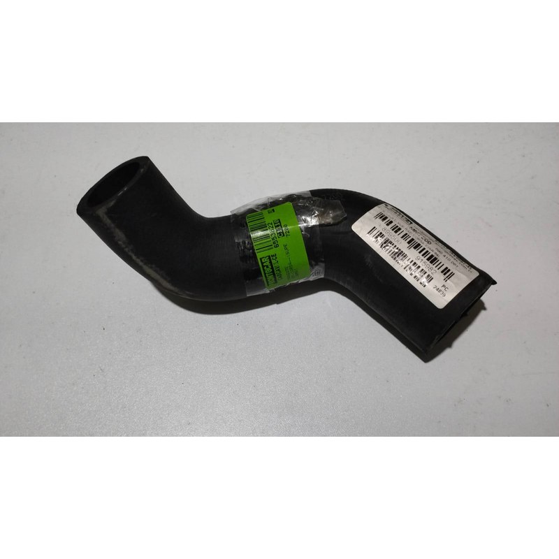 MANGOTE SUPERIOR - JAMAICA - 7200